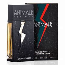 Perfume Masculino Animale For Men Edt 100ml